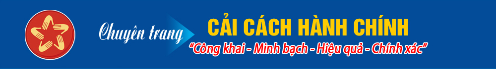 banner cchc